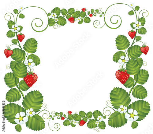 Strawberry floral frame