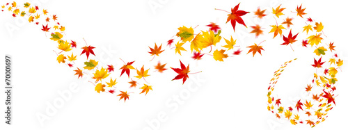 bunte Herbstblätter als Collage