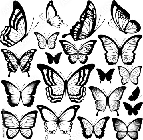 Carta da parati Farfalle - Carta da parati butterflies black silhouettes