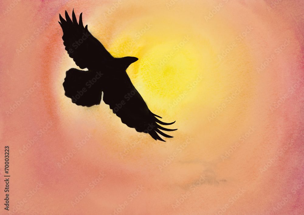 Fototapeta premium crows in the sky