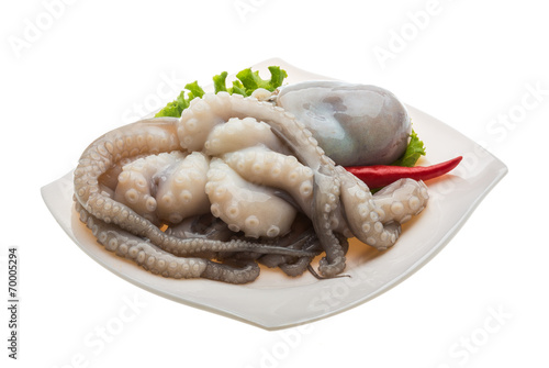 Raw octopus