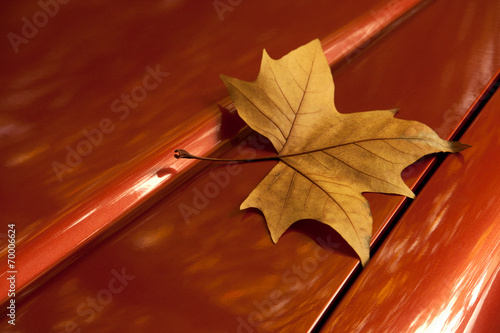 The golden autumn leaf on the car