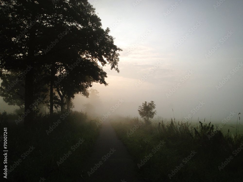 Naklejka premium der Nebel am Morgen