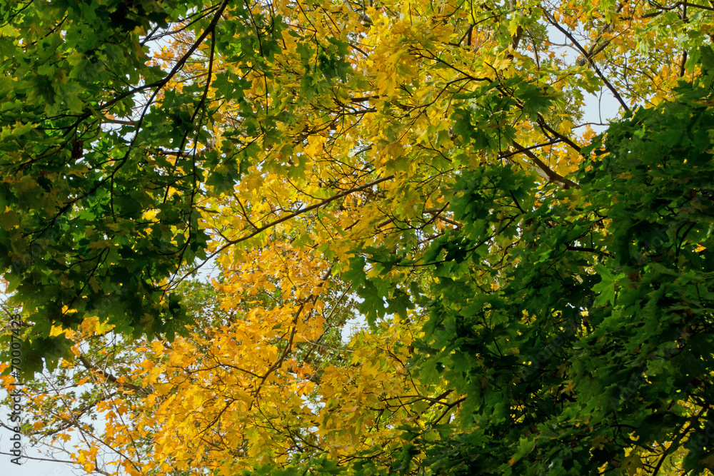 Herbst im Park Herbst im Park