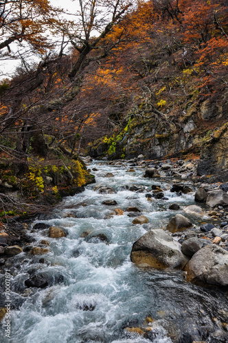 Autumn   Fall in Parque Nacional Torres del Paine  Chile