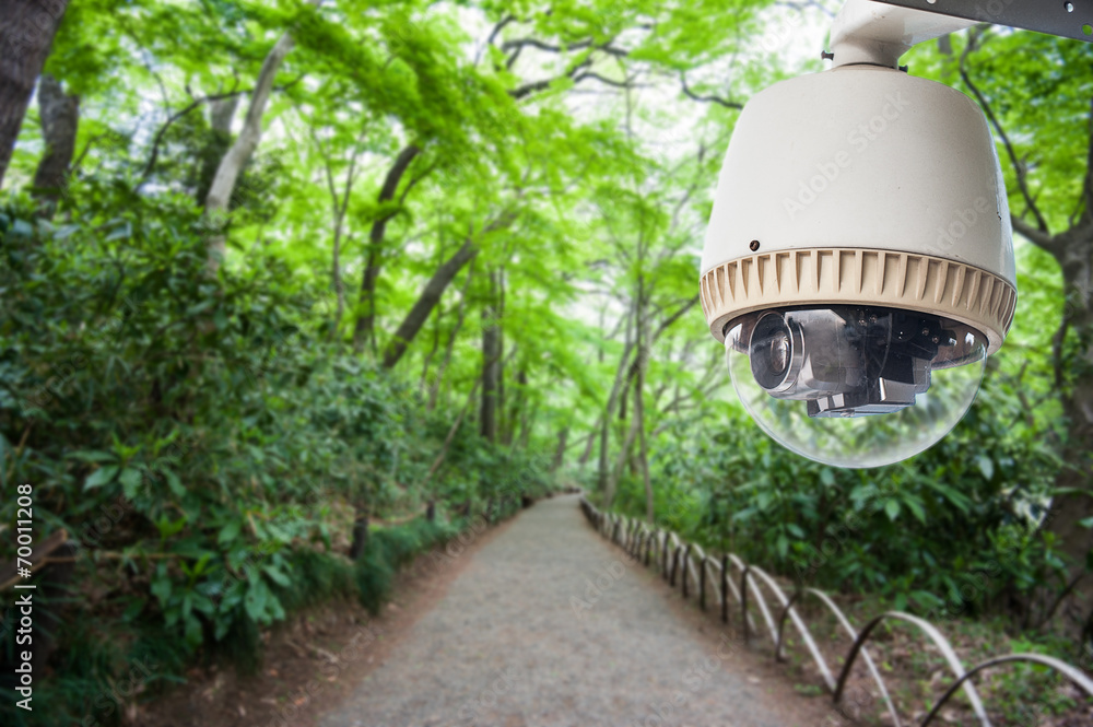 CCTV camera or surveillance operating in park or green garden CCTV camera or surveillance operating in park or green garden