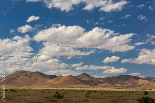 the Sonora desert in Mexico