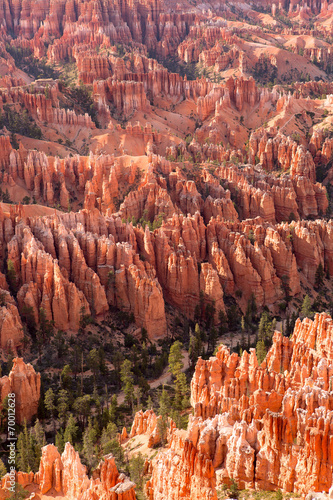 pinnacles in Bryce Canyon national park