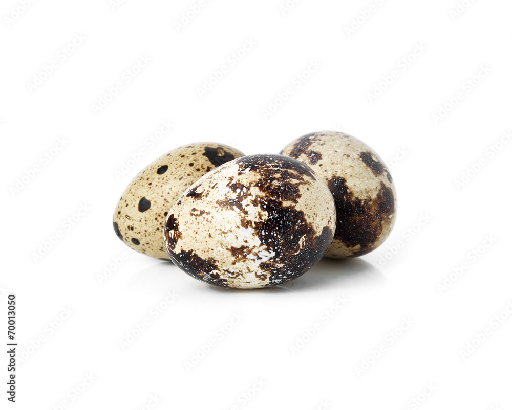 quail eggs isolated on white background quail eggs isolated on white background