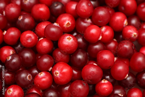 Cranberries close-up