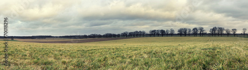 Stormy clouds above the meadow