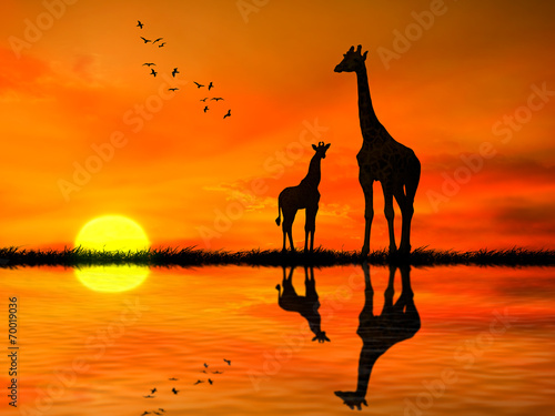 Silhouettes of two giraffes against African sunset