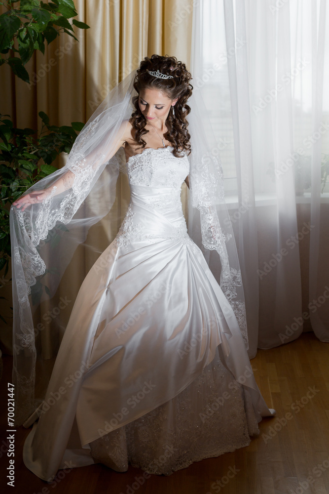 Fototapeta premium beautiful brunette bride