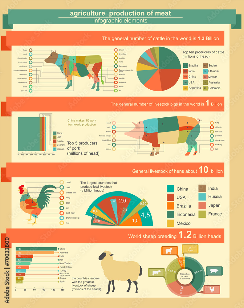 Agriculture, animal husbandry infographics, Vector illustrations Stock  Vector | Adobe Stock
