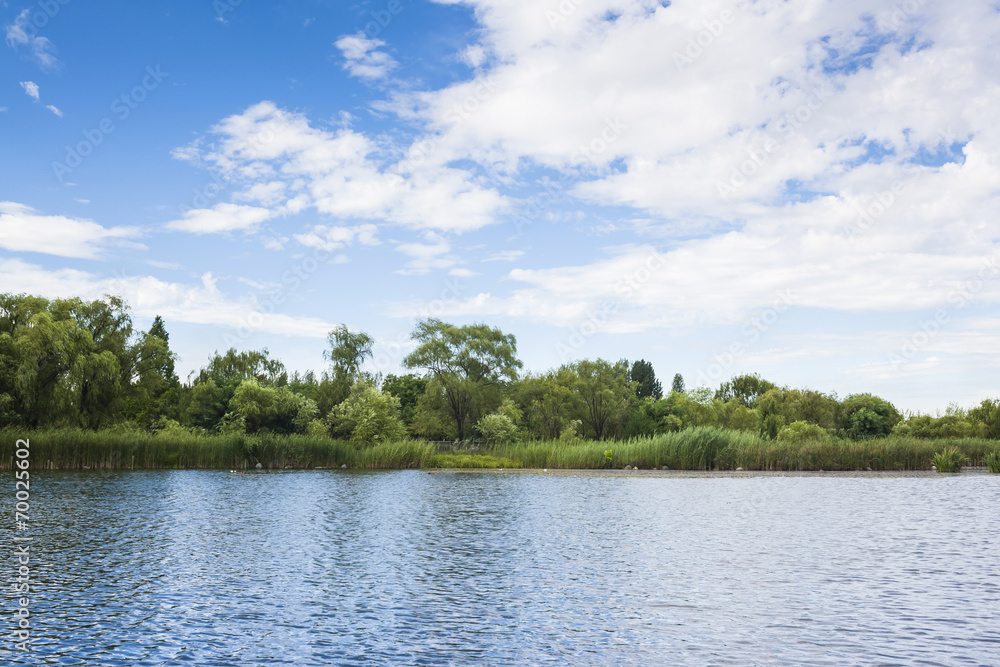 Forest lake under blue cloudy sky Forest lake under blue cloudy sky