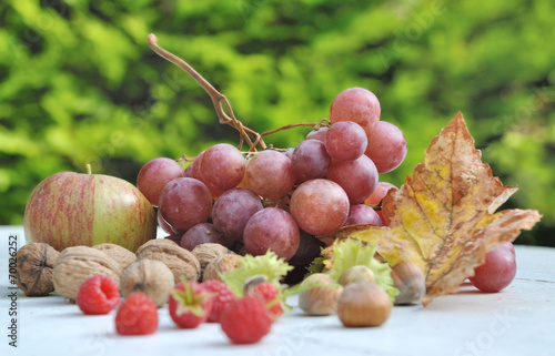 grappe de raison et autres fruits de saison