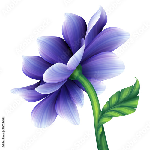 Fototapeta Naklejka Na Ścianę i Meble -  abstract blue violet flower illustration isolated on white