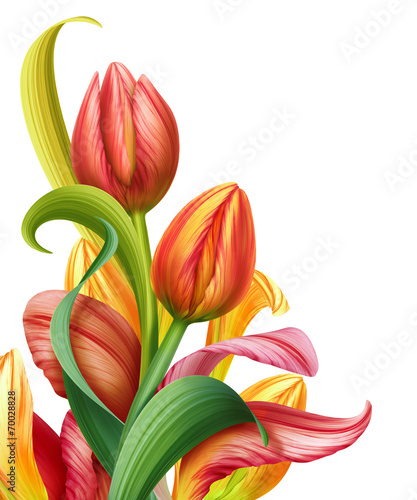 Fototapeta Naklejka Na Ścianę i Meble -  abstract composition with tulip flowers illustration