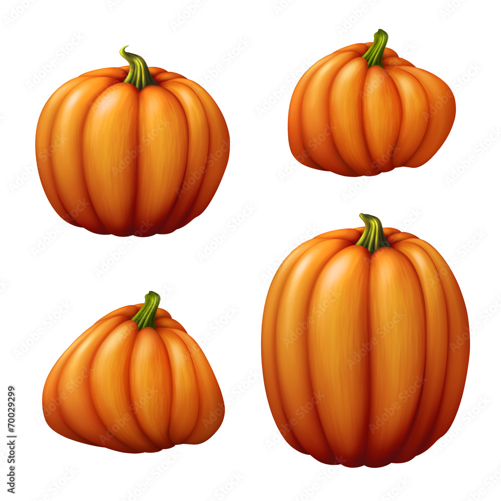 isolated pumpkins, seasonal harvest illustration isolated pumpkins, seasonal harvest illustration