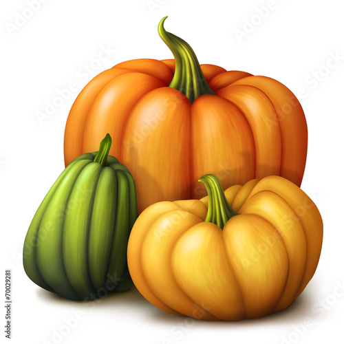 autumn pumpkins, seasonal illustration isolated