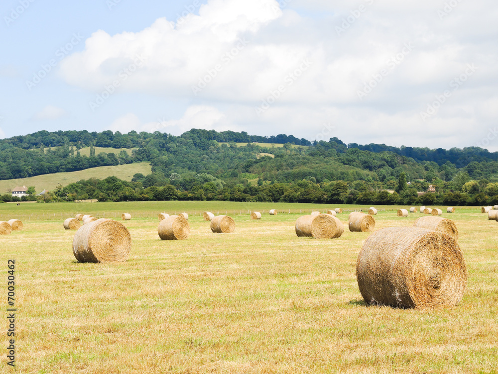 haystack rolls on harvested field in Normandy