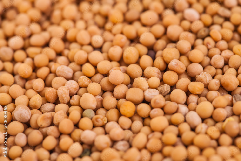 Macro Texture of Beige Peas Macro Texture of Beige Peas