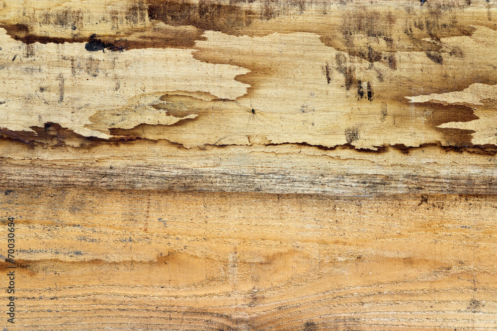 The old wood texture with natural patterns The old wood texture with natural patterns