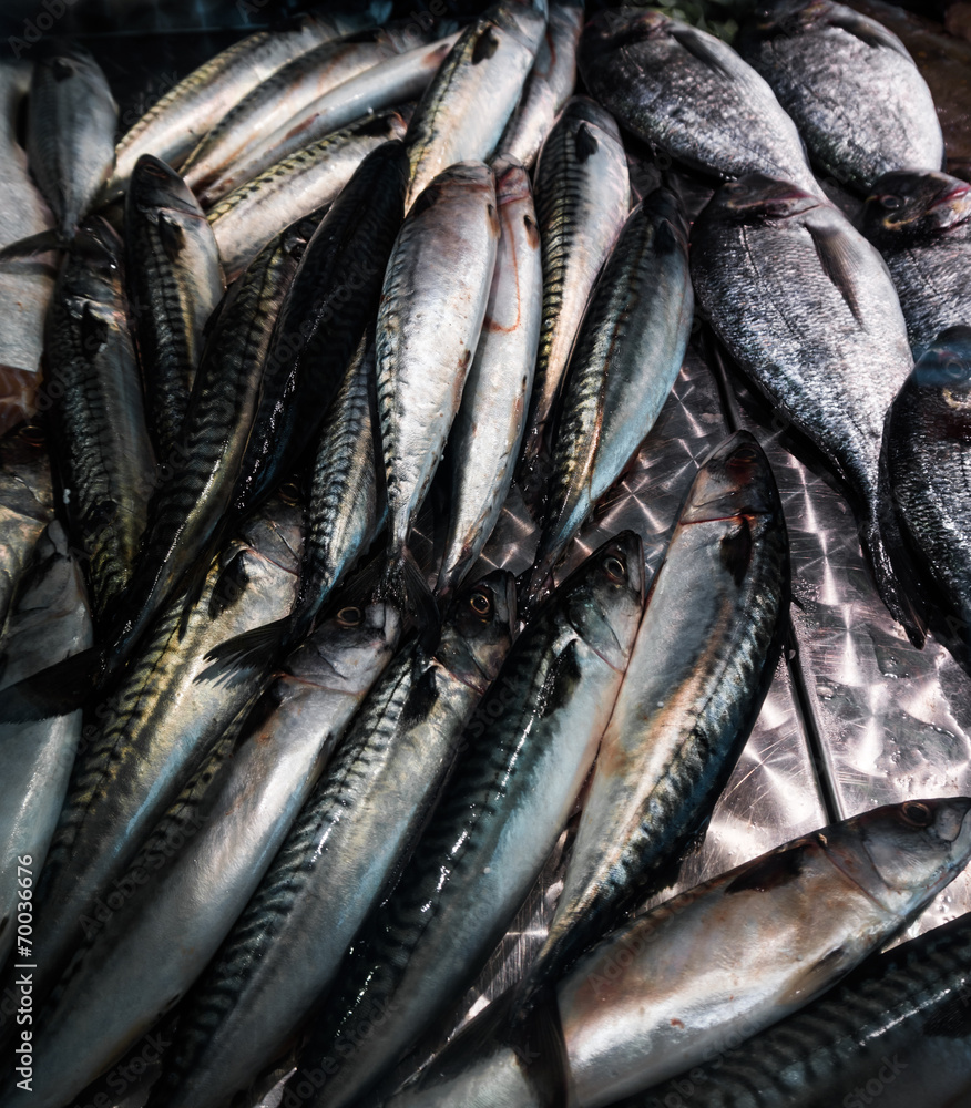 Obraz premium Fresh mackerel fish (Scomber scrombrus). Mackerel for sale at
