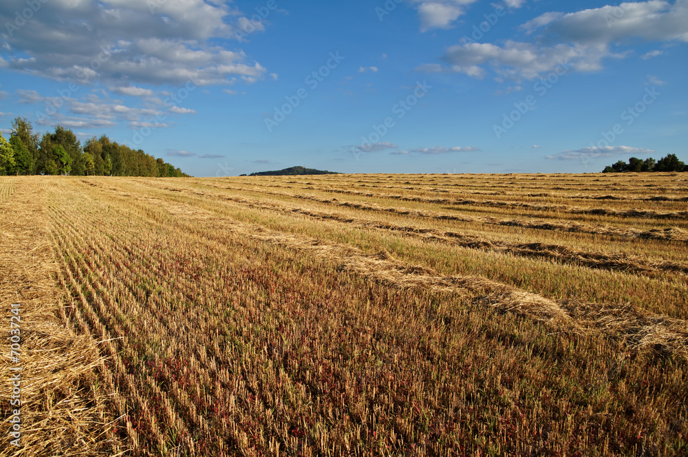 Field stubble and chopped straw Field stubble and chopped straw