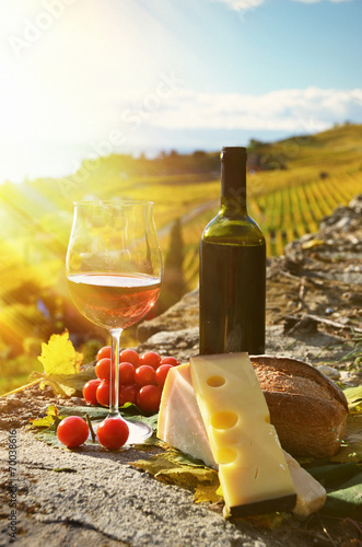 Fototapeta Naklejka Na Ścianę i Meble -  Wine and cheese. Lavaux region, Switzerland