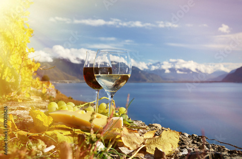 Wine and cheese. Lavaux region, Switzerland