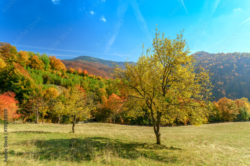Fototapeta premium Autumn landscape