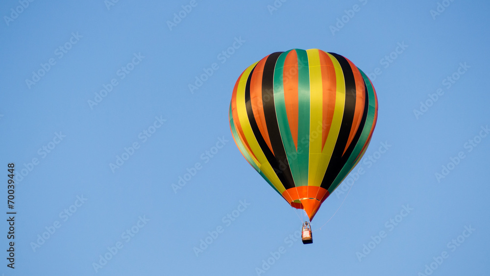 Naklejka premium Montgolfiere #95