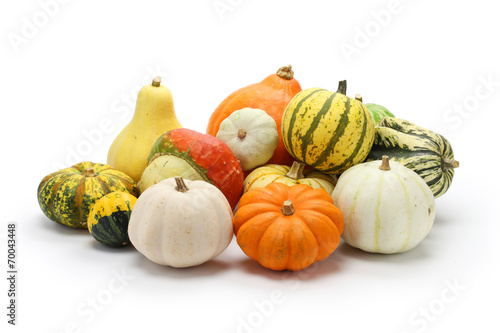 colorful pumpkin and squash collection
