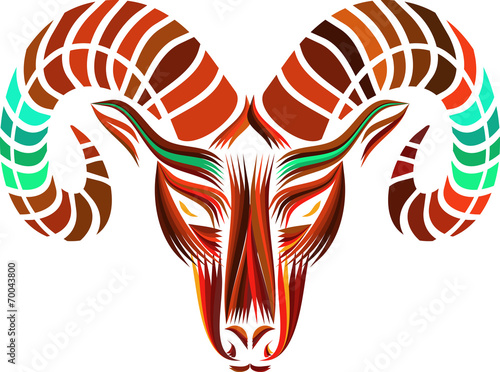 Colorful head of a goat