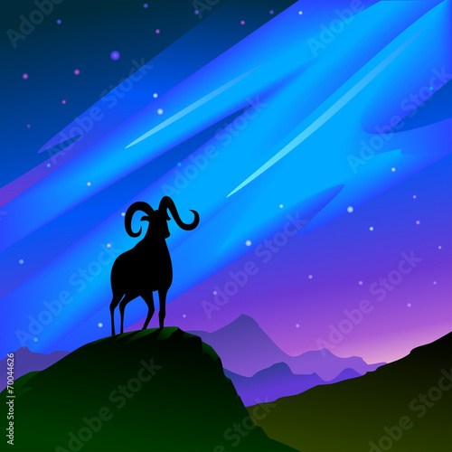 A goat on a hill top at night