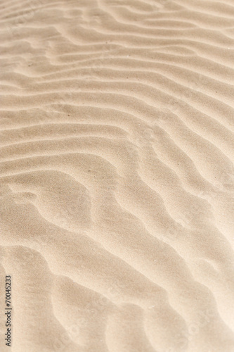beautiful background of sand in the desert © schankz