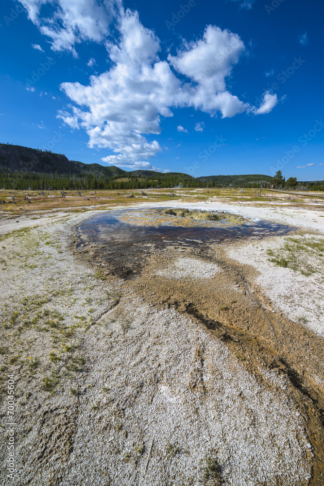 Jewel Geyser Yellowstone Jewel Geyser Yellowstone