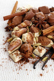 Different kinds of chocolates with spices on white background