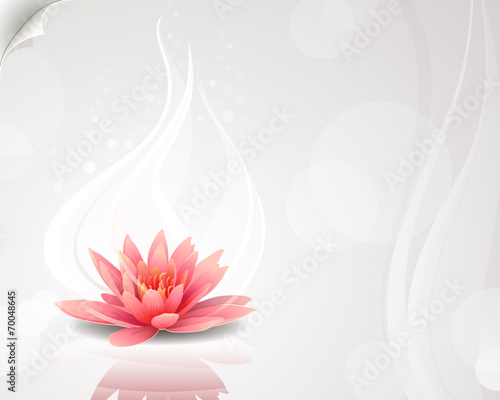 Lotus flower