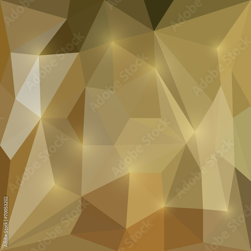 Abstract  vector triangular geometric background