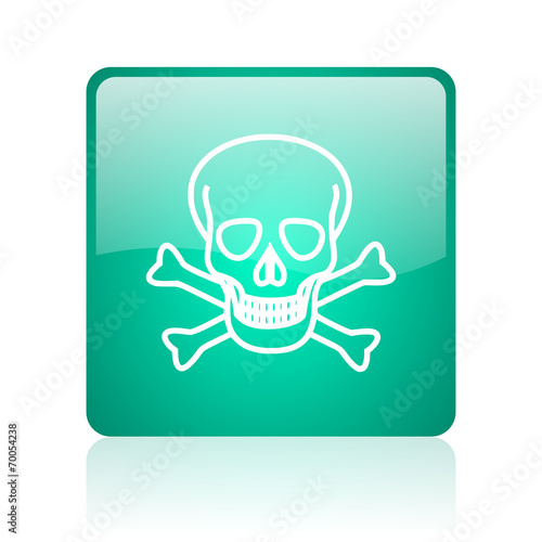 skull internet icon