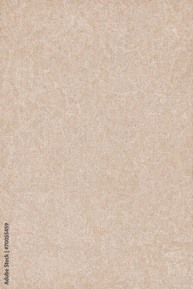 Fototapeta premium Recycle Striped Light Beige Kraft Paper Mottled Grunge Texture