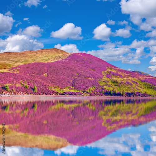 Landscape scenery of hill slope reflected in the water