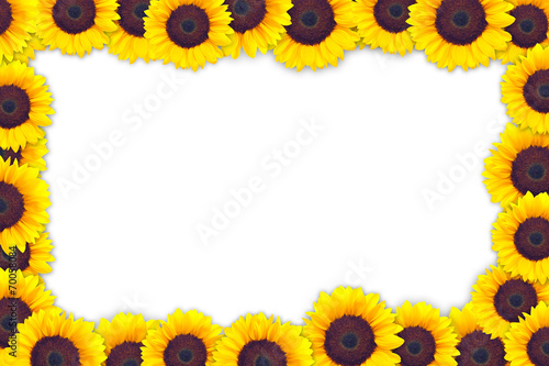 Fototapeta Naklejka Na Ścianę i Meble -  A frame made of sunflower heads