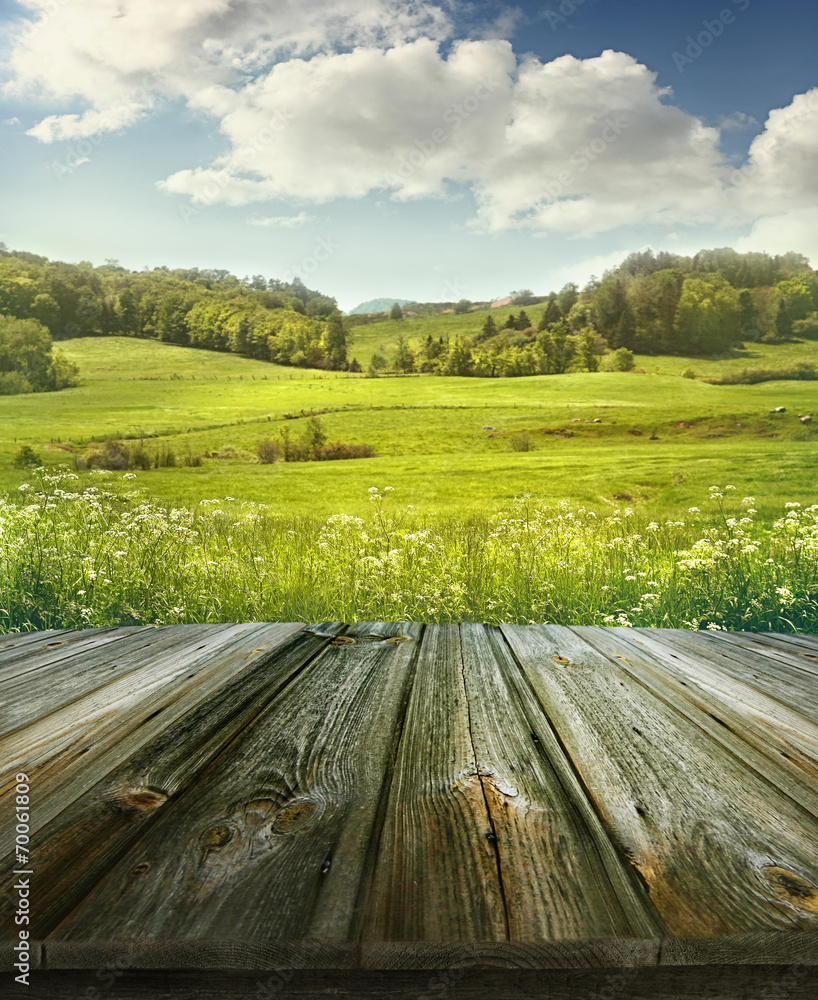 Fototapeta premium Summer pastoral background with wooden planks