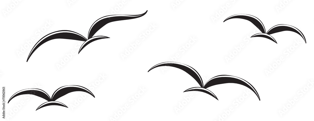 Obraz premium Birds in the sky