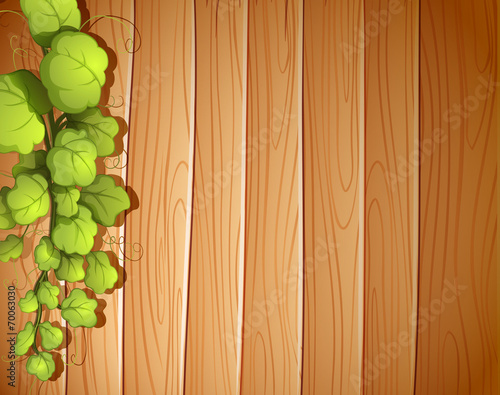 A wooden wall with a vineplant