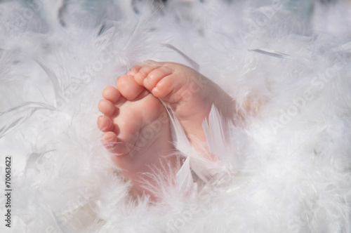 Baby feet in feathers