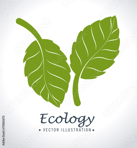 Ecology design